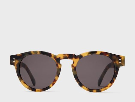 Tortoise Leonard Sunglasses For Discount