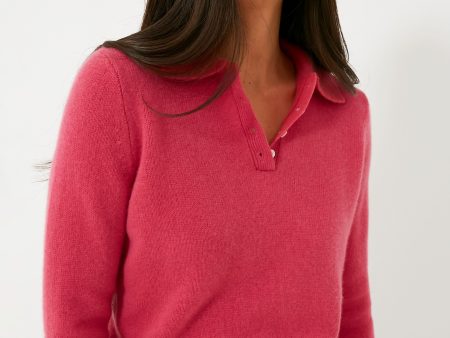 Pink Cashmere Alice Polo Sweater Fashion