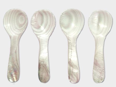 Seashell Spoons Mini Set of 4 Supply