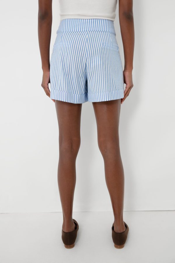 Blue Stripe Laguna Shorts Hot on Sale