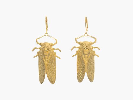 Goldbug Large Drop Earrings For Discount