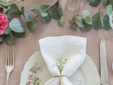 Blanc Linen Napkins Set Of 4 For Sale