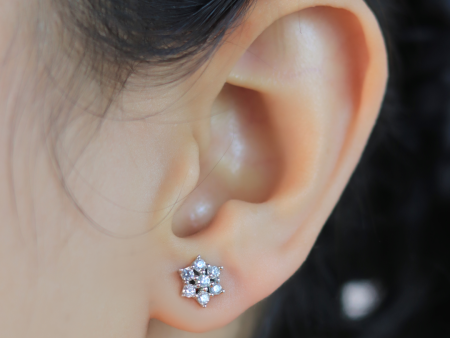 Zarkan Cute Flower Silver Studs Online